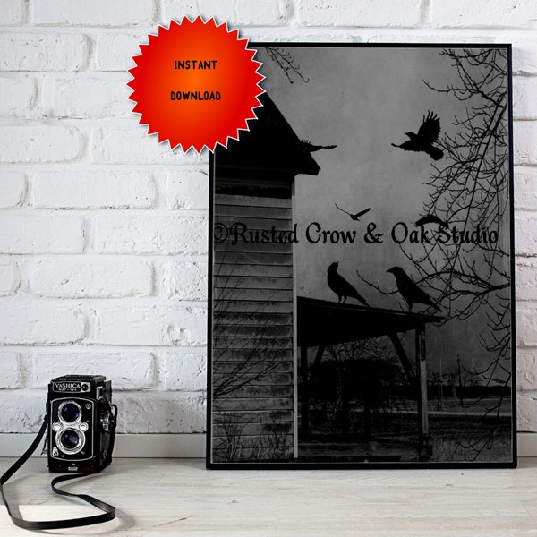 Rustic Black Birds Crows on Abandoned House Porch Black and White Art Digital Download A605