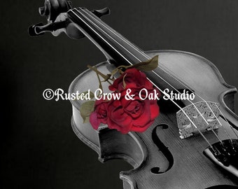 Black White Violin Red Rose Musical Instrument Art Print Matted Picture A507