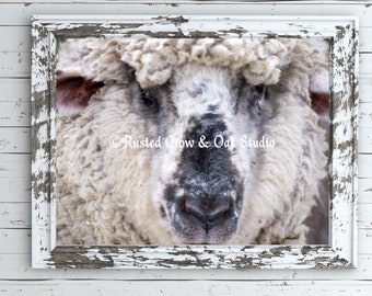 Spring Sheep Farm Animal Modern Country Farmhouse Art Matted Picture USA A411