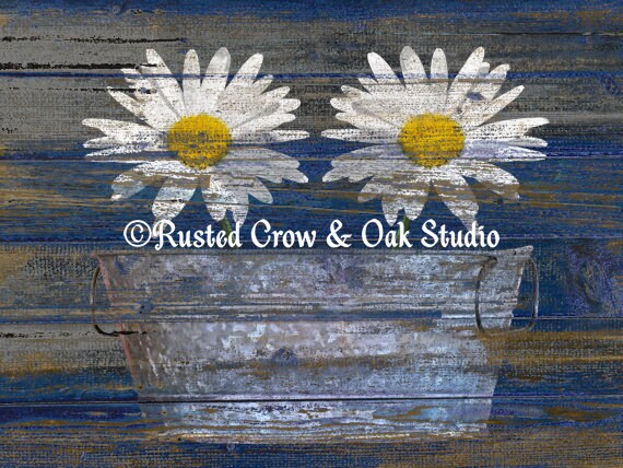 White Daisy Flowers Washtub Blue Country Cottage Chic Matted Etsy