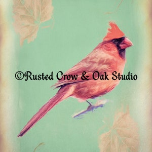 Cardinal Songbird Red Bird Cottage Chic Country Art Matted Picture USA A356