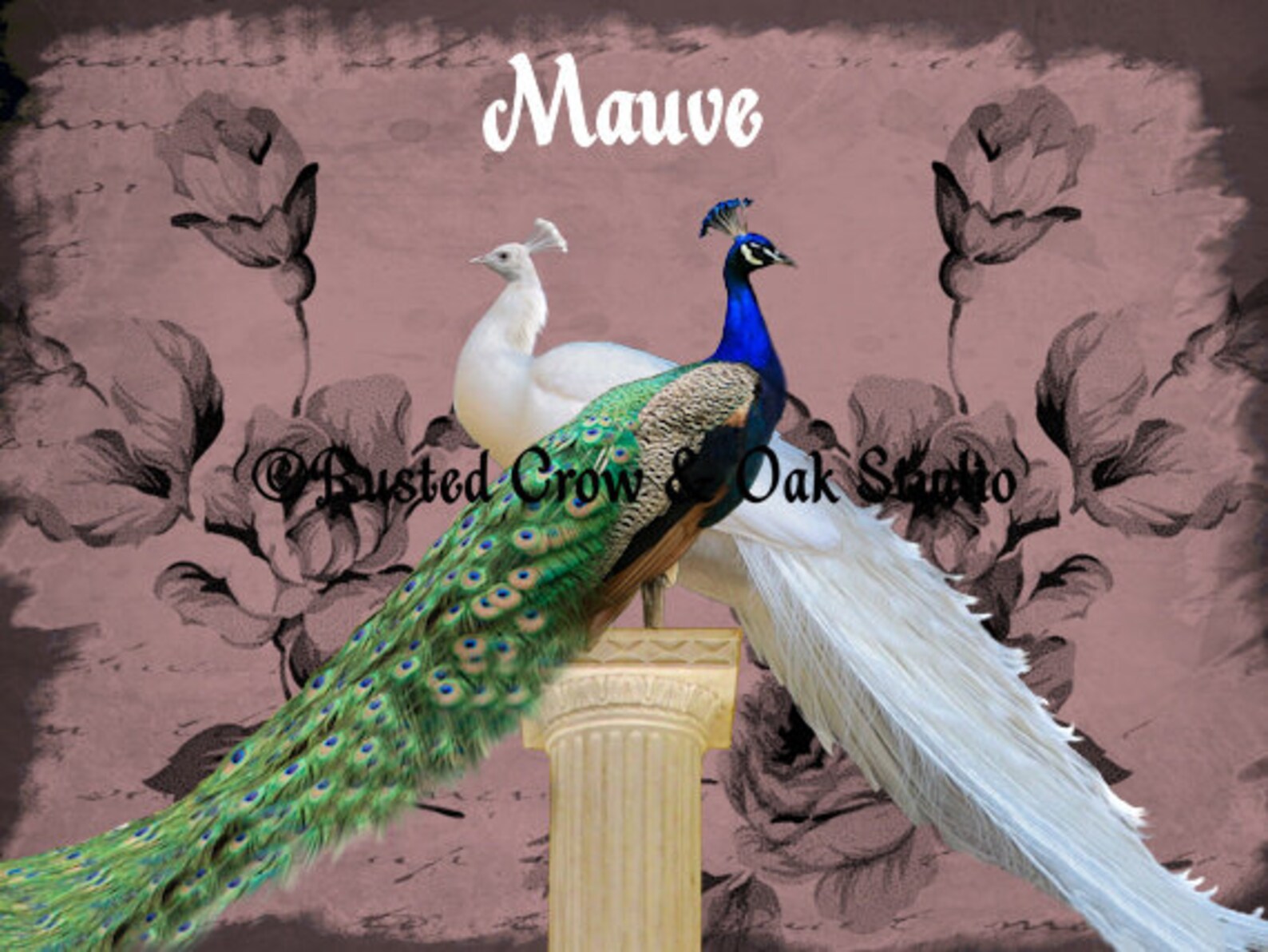 White Peacock Blue Peacock Bird Pair Home Decor Wall Art Matted Picture