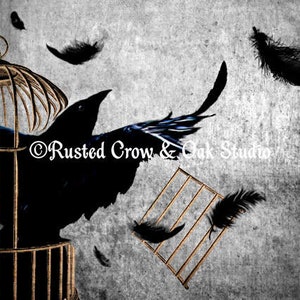 May include: A black crow with its wings spread wide, escaping from a gold birdcage. The crow is perched on the edge of the cage, with its head turned to the side. The cage is made of metal bars and has a round top. The background is a gray, textured surface with black feathers scattered around.