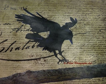 Rustic Gothic Raven Black Bird That's How the Crow Flies Art Matted Picture A674