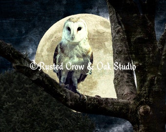 Barn Owl Bird Moon Modern Country Decor Farmhouse Art Matted Picture USA A497