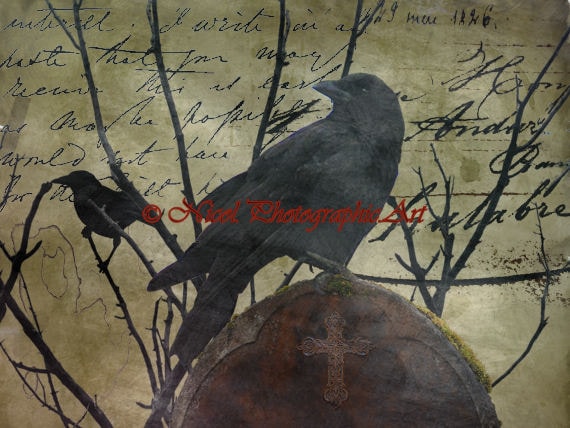 Set of 2 Art Prints Black Bird Raven Crow Green Rustic Art Matted Picture A335