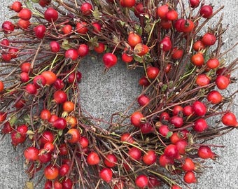 Rozenbottelkransen, herfstkransen, decoratie voor de voordeur