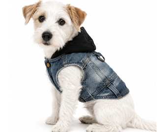 Veste en jean personnalisée pour chien avec capuche, style punk rock hardcore.