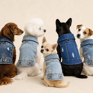 May include: Five dogs of various breeds and sizes wearing blue denim vests. Each vest features a fold-down collar, a metal D-ring attachment point, two lower pockets with brass-colored buttons, and distressed fabric details on the back panel.