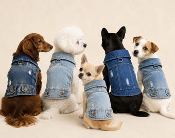 Veste en jean personnalisée pour chien style punk rock – Gilet de combat usé vierge pour scène hardcore