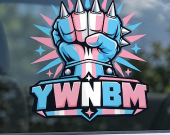 YWNBM Transparent Sticker Bookish Fantasy Reader New Achievement Decal Magnet Waterproof Gift Phone Laptop Boy Girl