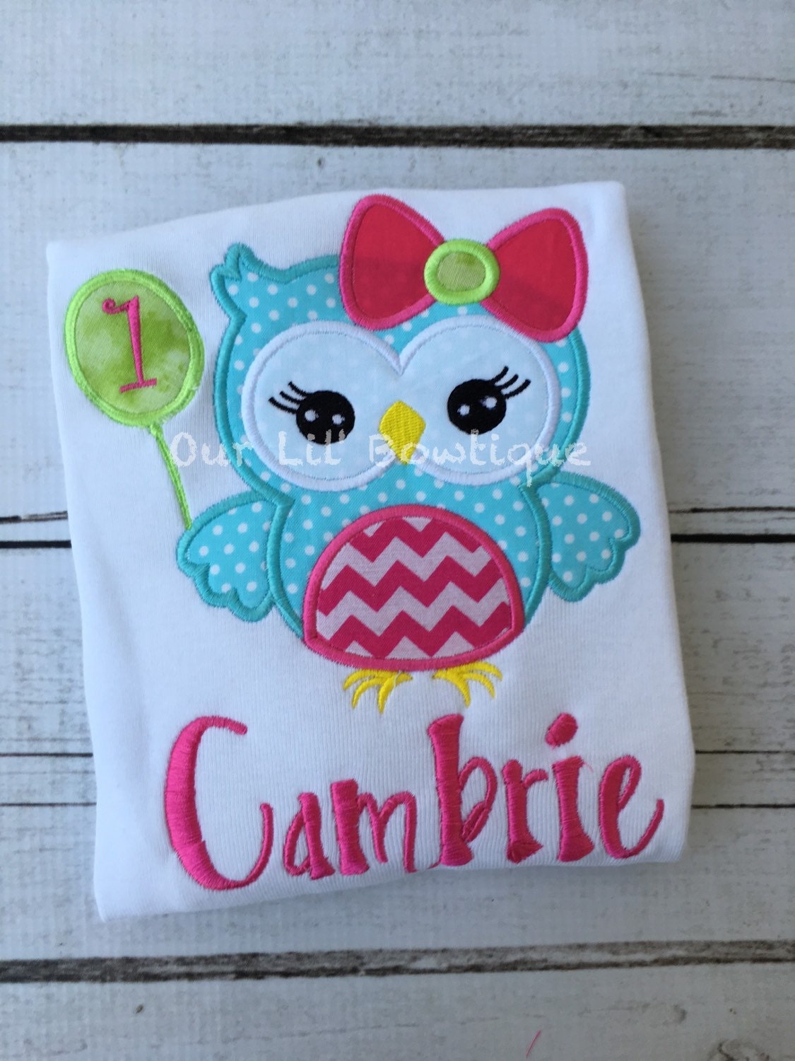 Personalized Owl Birthday Shirt: Appliqu&eacute; Girl or Boy Outfit
