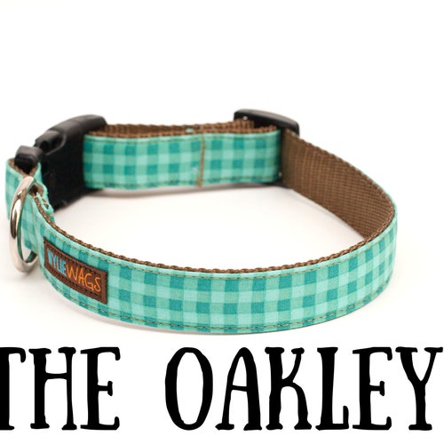 nomination dog collar