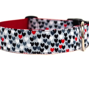 May include: A red, white, and black dog collar with a heart pattern. The collar has a silver buckle and a black D-ring.