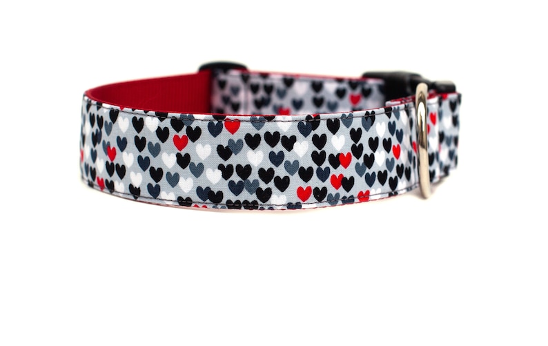 May include: A red, white, and black dog collar with a heart pattern. The collar has a silver buckle and a black D-ring.
