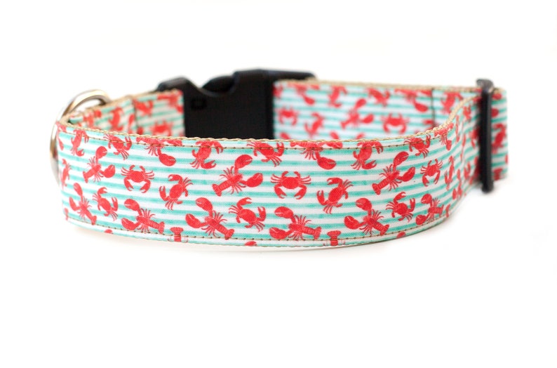 Lobster Dog Collar Crab Dog Collar Beach Dog Collar Ocean Etsy