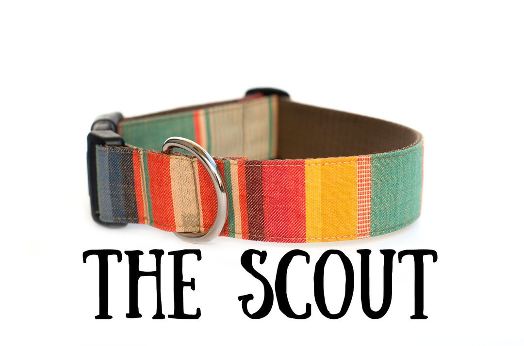 Tribal Dog Collar, Southwestern Dog Collar, Aztec Dog Collar, Boy Dog