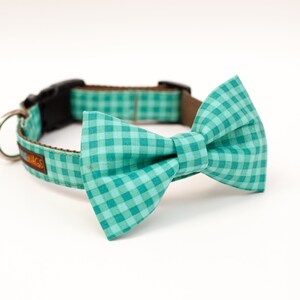 May include: A teal and white checkered dog collar with a matching bow tie.