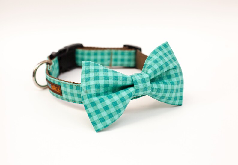May include: A teal and white checkered dog collar with a matching bow tie.