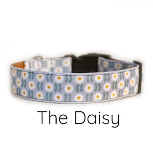 Floral Dog Collar, Daisy Dog Collar, dog collar, girl dog collar, yellow Daisy floral Dog Collar, gray dog collar, flower dog collar