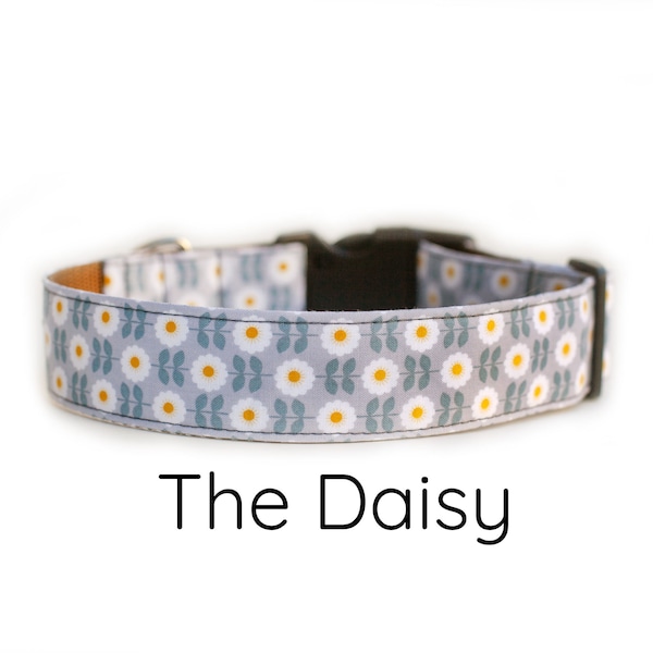 Floral Dog Collar, Daisy Dog Collar, dog collar, girl dog collar, yellow Daisy floral Dog Collar, gray dog collar, flower dog collar