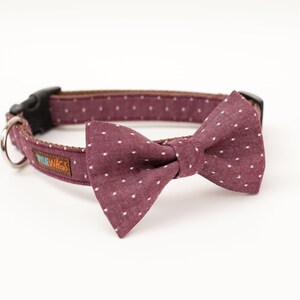 Dog Collar Bow tie Package -You choose any fabric! Mix and Match- bow tie dog collar, girl dog collar, boy dog collar, bow tie, dog bow tie image 4