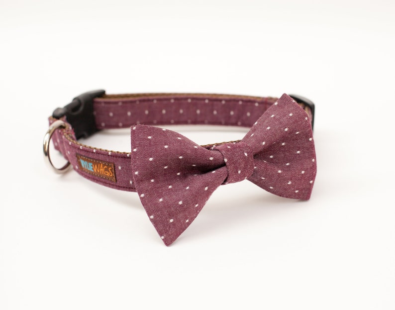 Dog Collar Bow tie Package -You choose any fabric! Mix and Match- bow tie dog collar, girl dog collar, boy dog collar, bow tie, dog bow tie image 4
