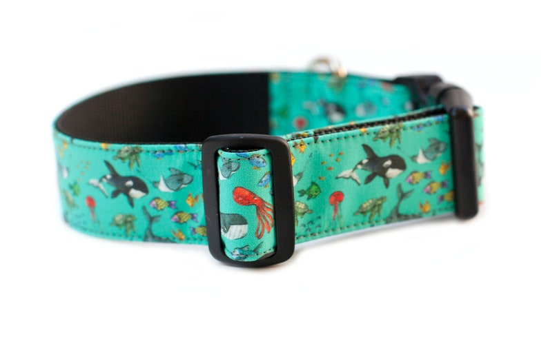 Orca Dog Collar Whale Dog Collar Fish Dog Collar Beach Dog Etsy