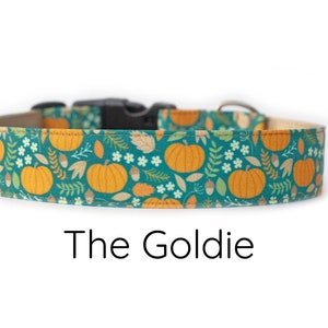 Autumn Dog Collar, Pumpkin Dog Collar, Fall Dog Collar, Acorn Dog Collar, Leaf Dog Collar, girl dog collar, boy dog collar, Pumpkin Spice