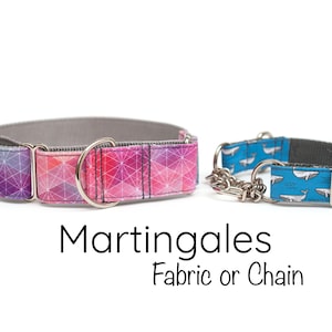 Martingale Dog Collar - Choose your fabric and style!  Martingale collar, dog collar, girl dog collar, boy dog collar, martingale