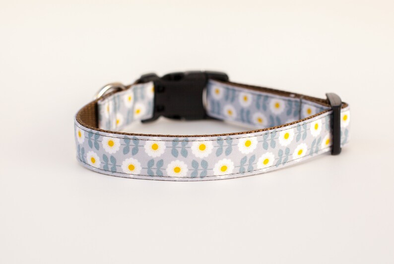 Floral Dog Collar Daisy Dog Collar Dog Collar Girl Dog Etsy