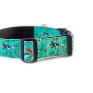 May include: A turquoise blue dog collar with a black buckle. The collar features a colorful print of various sea creatures, including fish, whales, and jellyfish.