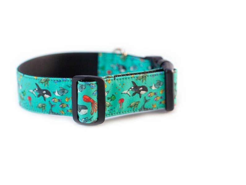 May include: A turquoise blue dog collar with a black buckle. The collar features a colorful print of various sea creatures, including fish, whales, and jellyfish.