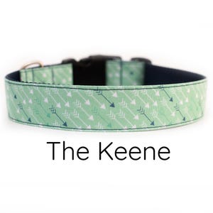 Può includere: Un collare per cani verde con un motivo di frecce bianche e blu. Il collare ha la scritta "The Keene" stampata su di esso.