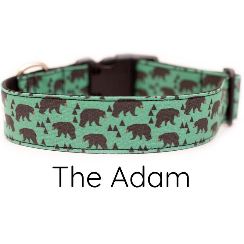 Dog collar Company of Animals Green