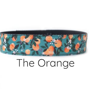 Orange tangerine dog collar, fruit dog collar, teal dog collar, dog collar girl, dog collar boy, peach dog collar, spring dog collar