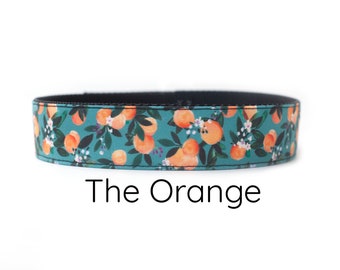 Orange tangerine dog collar, fruit dog collar, teal dog collar, dog collar girl, dog collar boy, peach dog collar, spring dog collar