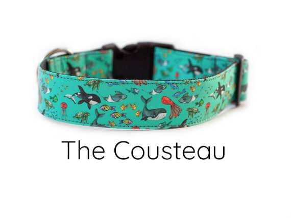 Orca dog collar, whale dog collar, fish dog collar, beach dog collar, nautical dog collar, ocean dog collar, girl dog collar, boy dog collar