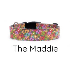 Floral Dog Collar, girl dog collar, rainbow floral dog collar, flower dog collar, dog collars for girls, pink floral dog collar