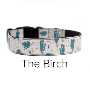 Bear Dog collar, Forest Dog collar, Woodland collar, Trees dog collar, girl dog collar, boy dog collar, camp dog collar, blue dog collar