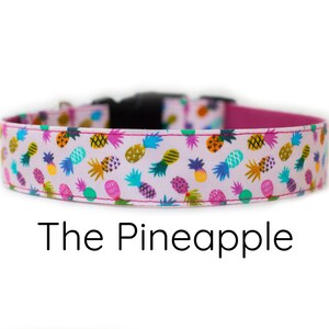 Pineapple dog collar, fruit dog collar, tropical dog collar, dog collar girl, dog collar boy, pink dog collar, summer dog collar,