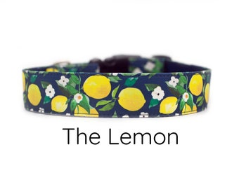 Lemon dog collar, fruit dog collar, yellow dog collar, dog collar girl, dog collar boy, navy dog collar, spring dog collar