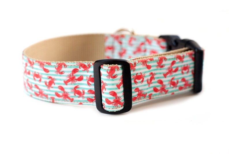Lobster Dog Collar Crab Dog Collar Beach Dog Collar Ocean Etsy