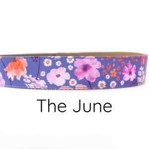 Floral Dog Collar, girl dog collar, watercolor floral collar, flower dog collar, boho, purple dog collar, spring dog collar, pink dog collar