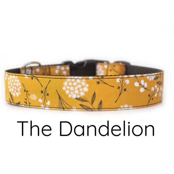 Dandelion Dog Collar, floral dog collar, girl dog collar, flower dog collar, dog collars for girls, summer dog collar, fall dog collar