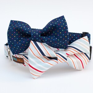Dog Collar Bow tie Package -You choose any fabric! Mix and Match- bow tie dog collar, girl dog collar, boy dog collar, bow tie, dog bow tie image 2