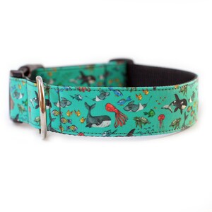 May include: A turquoise blue dog collar with a colorful print of various sea creatures, including fish, whales, and jellyfish.