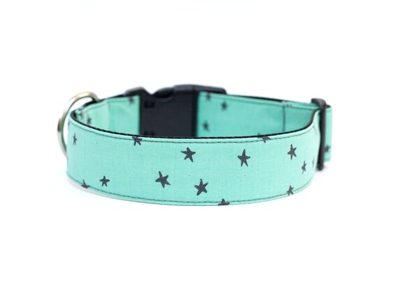 star dog collar