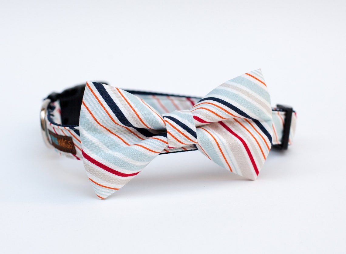 Striped Collar main image 1