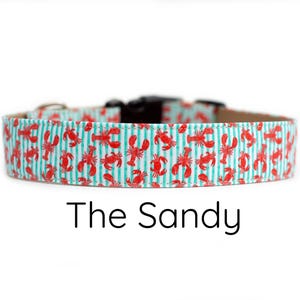 Lobster dog collar, crab dog collar, beach dog collar, ocean dog collar, nautical dog collar, dog collar girl, dog collar boy